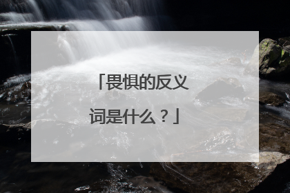 畏惧的反义词是什么？