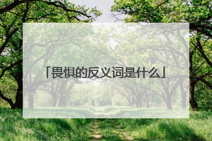 畏惧的反义词是什么