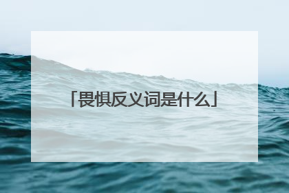 畏惧反义词是什么