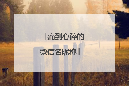 痛到心碎的微信名昵称