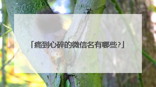 痛到心碎的微信名有哪些?