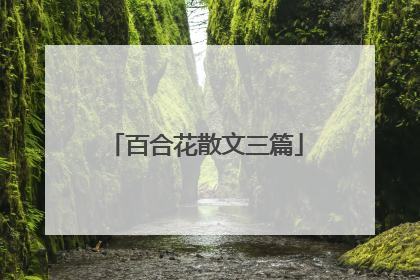 百合花散文三篇