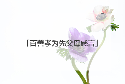 百善孝为先父母感言