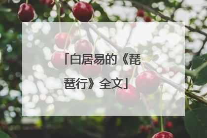 白居易的《琵琶行》全文