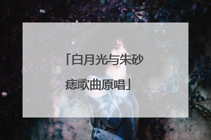 白月光与朱砂痣歌曲原唱