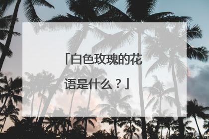 白色玫瑰的花语是什么？