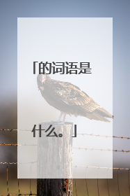的词语是什么。