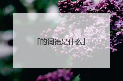 的词语是什么