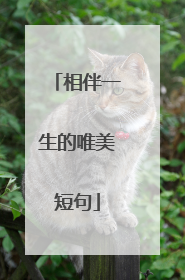 相伴一生的唯美短句