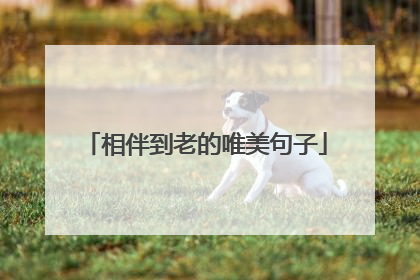 相伴到老的唯美句子
