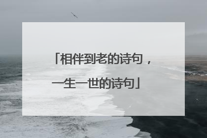 相伴到老的诗句，一生一世的诗句