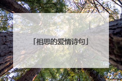 相思的爱情诗句