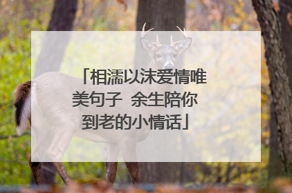 相濡以沫爱情唯美句子 余生陪你到老的小情话