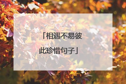 相遇不易彼此珍惜句子