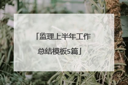 监理上半年工作总结模板5篇