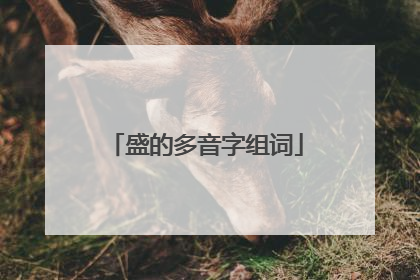 盛的多音字组词