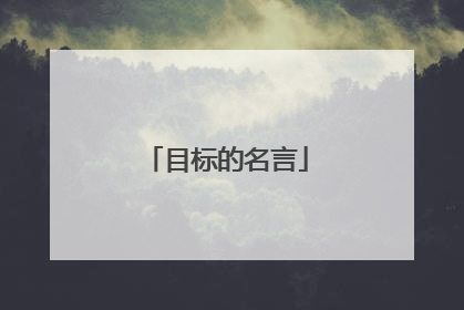 目标的名言