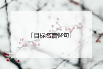 目标名言警句