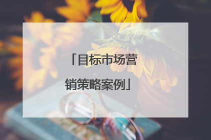 目标市场营销策略案例