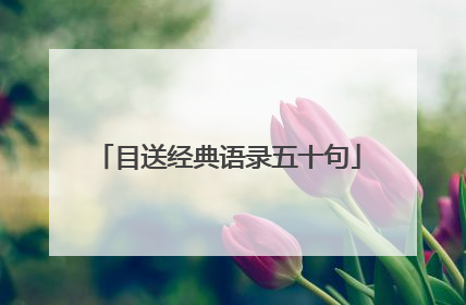 目送经典语录五十句
