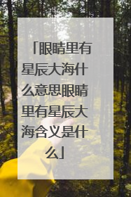 眼睛里有星辰大海什么意思眼睛里有星辰大海含义是什么