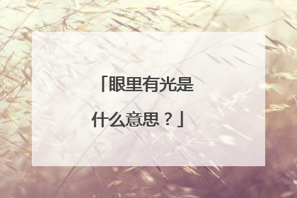 眼里有光是什么意思？