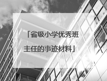 省级小学优秀班主任的事迹材料