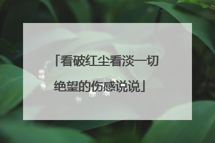 看破红尘看淡一切绝望的伤感说说