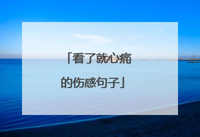 看了就心痛的伤感句子