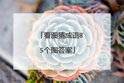 看图猜成语85个图答案