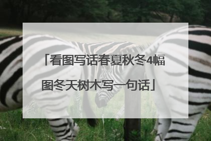 看图写话春夏秋冬4幅图冬天树木写一句话
