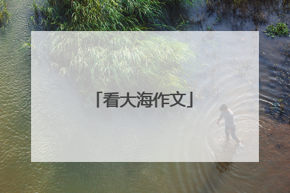 看大海作文