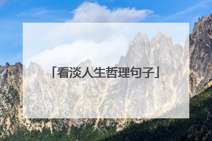 看淡人生哲理句子