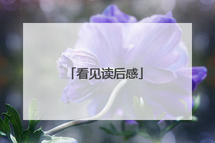 看见读后感