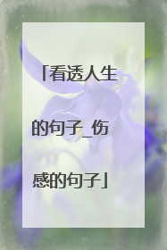 看透人生的句子_伤感的句子