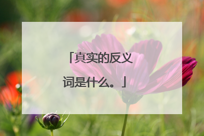 真实的反义词是什么。
