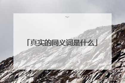 真实的同义词是什么