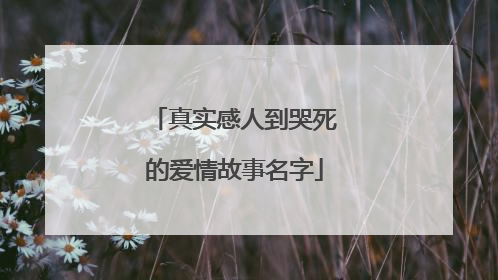 真实感人到哭死的爱情故事名字