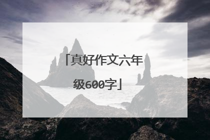 真好作文六年级600字