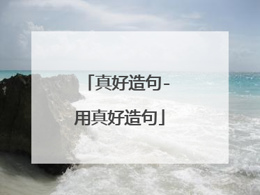 真好造句-用真好造句