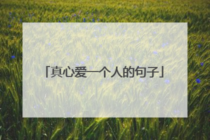 真心爱一个人的句子