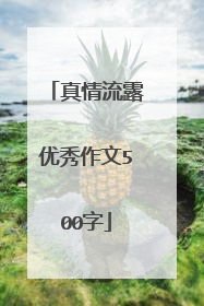 真情流露优秀作文500字