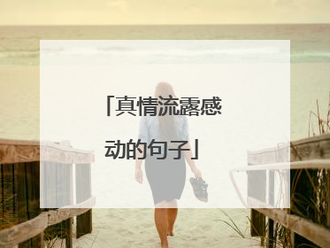 真情流露感动的句子