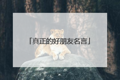 真正的好朋友名言