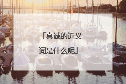 真诚的近义词是什么呢