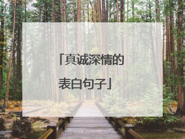 真诚深情的表白句子