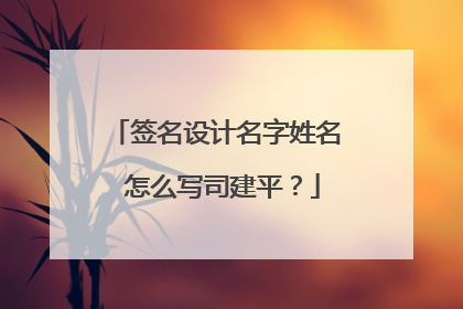 签名设计名字姓名 怎么写司建平？