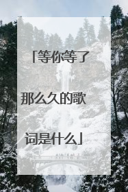 等你等了那么久的歌词是什么