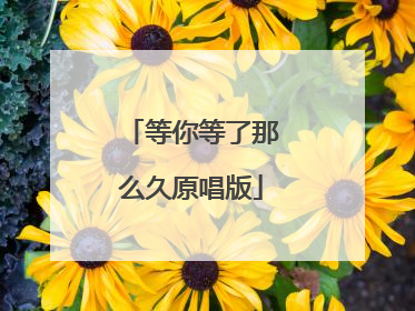 等你等了那么久原唱版