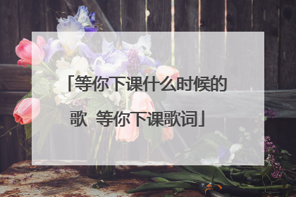 等你下课什么时候的歌 等你下课歌词
